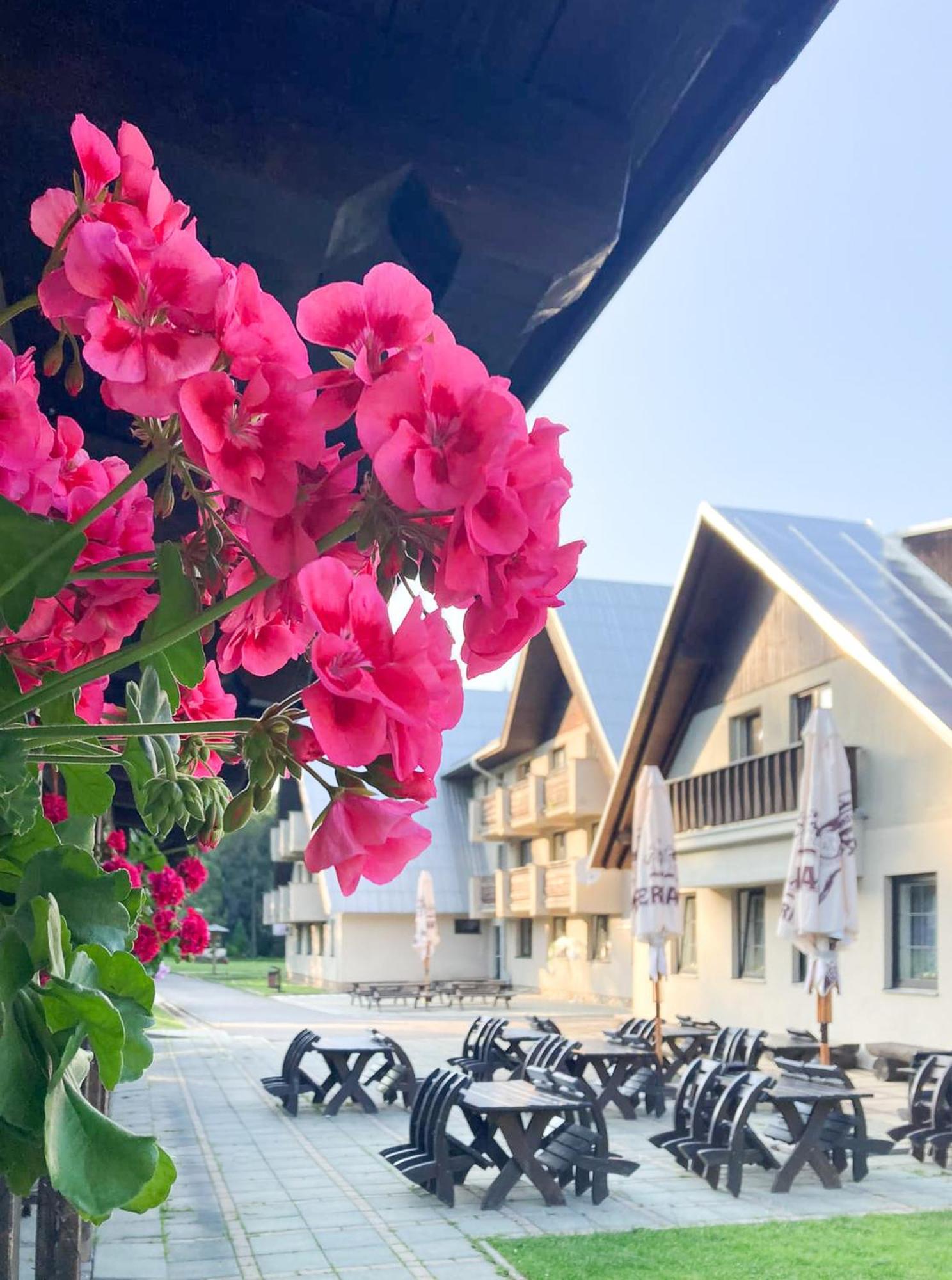 Hotel Hornik Žďár nad Sázavou Exteriér fotografie